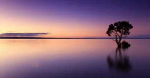 La suma de las escenas así imaginadas despierta en nosotros la emoción requerida, el sentimiento, la comprensión y la verdadera experiencia que buscamos. - Serguei Mikhailovich Eizenshtein