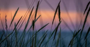 Ayúdame a comprender lo que os digo y os lo explicaré mejor. - Antonio Machado