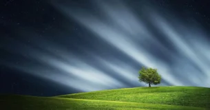 El dolor no puede ser nunca ni insoportable ni de larga duración, a menos que tú lo agrandes a fuerza de la imaginación; debes verlo dentro de sus límites naturales. - Marco Aurelio Antonino