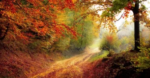 La cuestión no es ser cautivo. La cuestión es no rendirse. - Nazim Hikmet