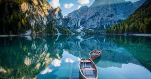 La envidia y los celos no son vicios ni virtudes, sino penas. - Jeremy Bentham