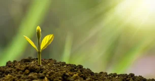Todo gran trabajo ejerce una influencia ética. El esfuerzo necesario para concentrarse y dar una forma armónica a una materia, es como una piedra que cae en nuestra vida espiritual; el círculo reducido va creando ondas cada vez mayores. - Friedrich Nietzsche