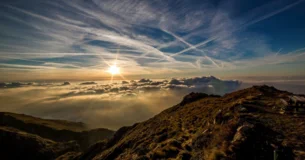 Todo gran trabajo ejerce una influencia ética. El esfuerzo necesario para concentrarse y dar una forma armónica a una materia, es como una piedra que cae en nuestra vida espiritual; el círculo reducido va creando ondas cada vez mayores. - Friedrich Nietzsche