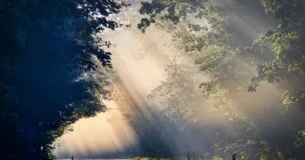 Todo gran trabajo ejerce una influencia ética. El esfuerzo necesario para concentrarse y dar una forma armónica a una materia, es como una piedra que cae en nuestra vida espiritual; el círculo reducido va creando ondas cada vez mayores. - Friedrich Nietzsche