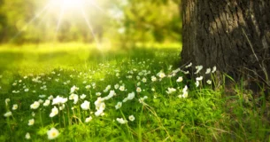 El espíritu de un fanático es como la pupila del ojo; cuanto más intensa es la luz, más se contrae. - Oliver Wendell Holmes
