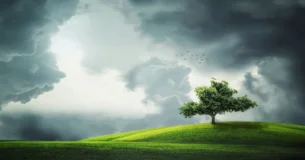 El hombre ha sido desdichado, porque no ha buscado siempre sino ser feliz. - José Romano Muñoz