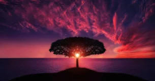 Muchos quieren ser felices con condiciones, pero la felicidad sólo puede sentirse si no se le ponen condiciones. - Arthur Rubinstein