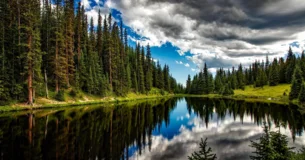 Hay una especie de vergüenza de ser feliz a la vista de ciertas miserias. - Jean de La Bruyère