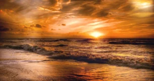 Hay una especie de vergüenza de ser feliz a la vista de ciertas miserias. - Jean de La Bruyère
