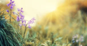 La felicidad consiste en tener buena salud y mala memoria. - Edwige Feuillère