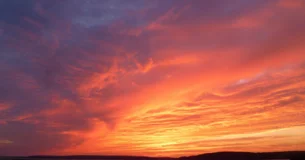 Para vivir feliz, y siempre semejante a sí misma, una mujer bonita debe morir joven. - Joseph Joubert