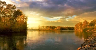 La propiedad de la expansión es el principio y el fin de todo art e. - Johann Wolfgang von Goethe