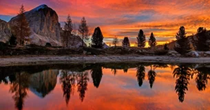 Es más importante saber cómo fracasar que saber cómo tener éxito. - Stephen Crane