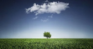 La edad en que todo se reparte e incluso se da generosamente es la edad en que nada se tiene. - Alphonse Karr