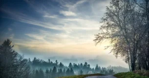 El genio es la facultad por la cual la naturaleza da reglas al arte. - Immanuel Kant