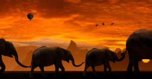 No hay en la naturaleza dos seres completamente iguales. - Gottfried Wilhelm Leibniz