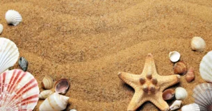 Sea cual fuera tu natural inclinación, síguela: no te apartes del camino que te marque tu talento. Sé aquello para lo que te ha destinado la naturaleza y tendrás éxito; si te empeñas en ser otra cosa, será mil veces peor que nada. - Sidney Smith