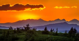 El camino a la existencia alegre y feliz conduce a través de renuncias y limitaciones de la propia persona que ha de gozarlas. - Albert Einstein