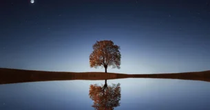 El perfume del alma es la memoria. - George Sand