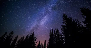 Las dos cualidades indispensables de todas las virtudes son la moderación y la prudencia, sin las cuales caen por tierra todas las empresas, así como corrompen todos los frutos de una asidua diligencia. - Johann Christoph Friedrich von Schiller