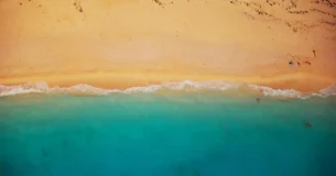 El niño conoce instintivamente a su amigo y a su enemigo. - Walter Scott