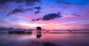 La noche es la mitad de la vida, y la mejor vida. - Johann Wolfgang von Goethe