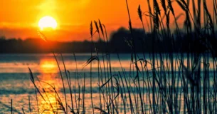 Las tonterías que se cometen a veces pueden ser remediadas; las que se dicen no tienen remedio. - A. Berthet
