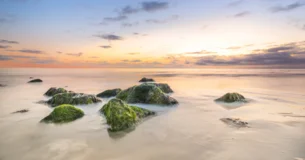 El hoy y el ayer son las piedras con que construimos. - Henry Wadsworth Longfellow