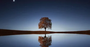 Cada vez que se remueve un principio se descubre algo que hace vacilar aquel principio considerado inconmovible. - Anatole France