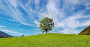 No debemos quejarnos de los hombres por su rudeza, su ingratitud, su injusticia, su arrogancia, su amor a sí mismos o su olvido de los demás: están hechos así. Tal es su naturaleza. - Jean de La Bruyère