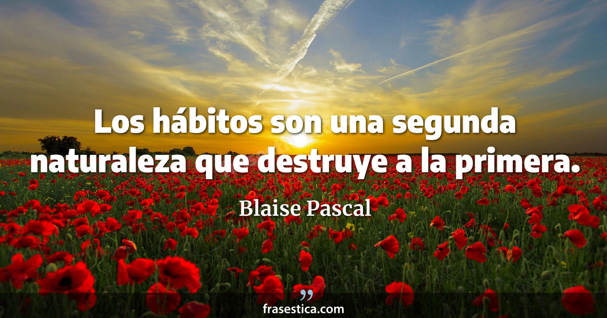 Los hábitos son una segunda naturaleza que destruye a la primera. - Blaise Pascal