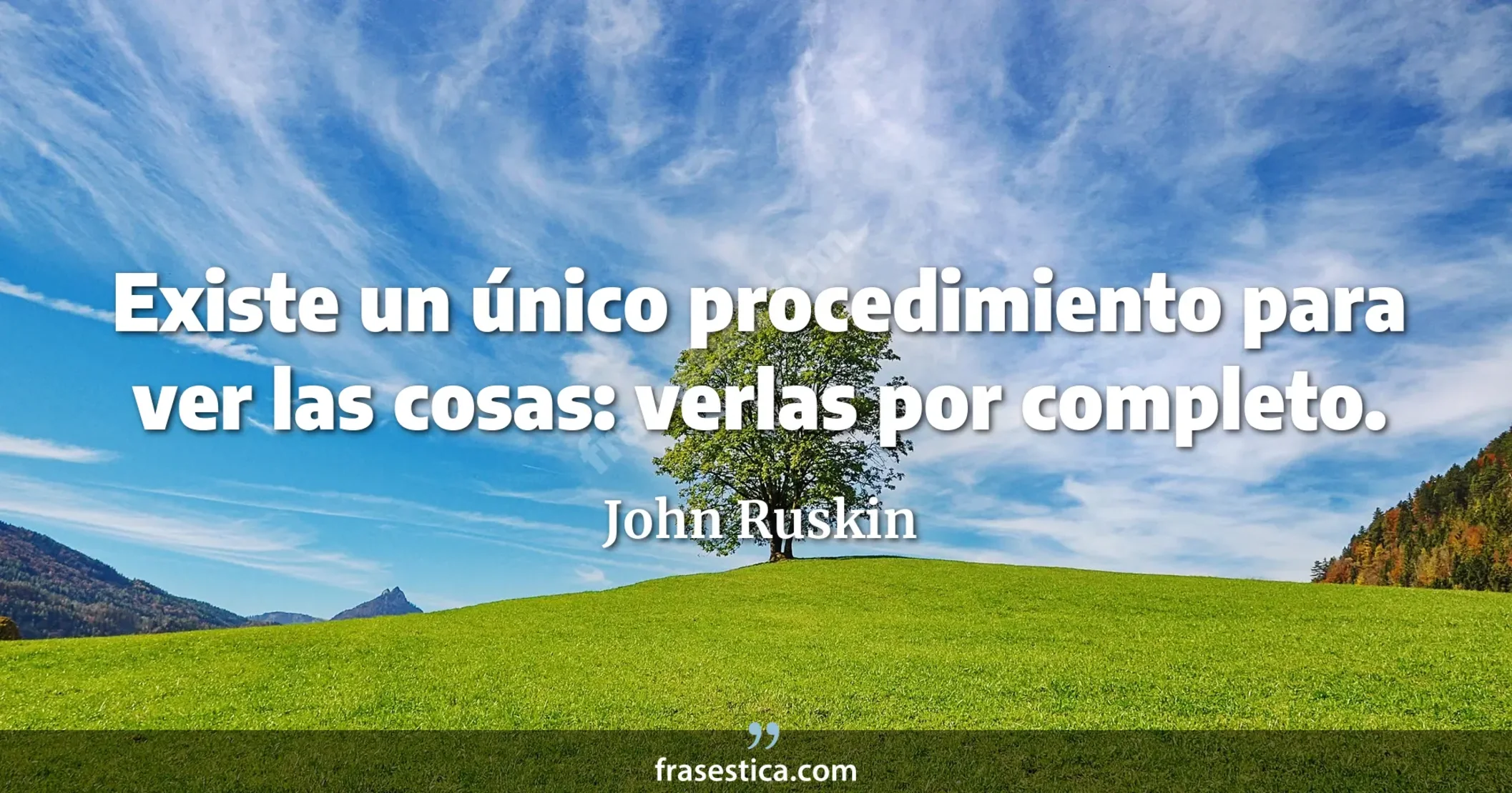 Existe un único procedimiento para ver las cosas: verlas por completo. - John Ruskin
