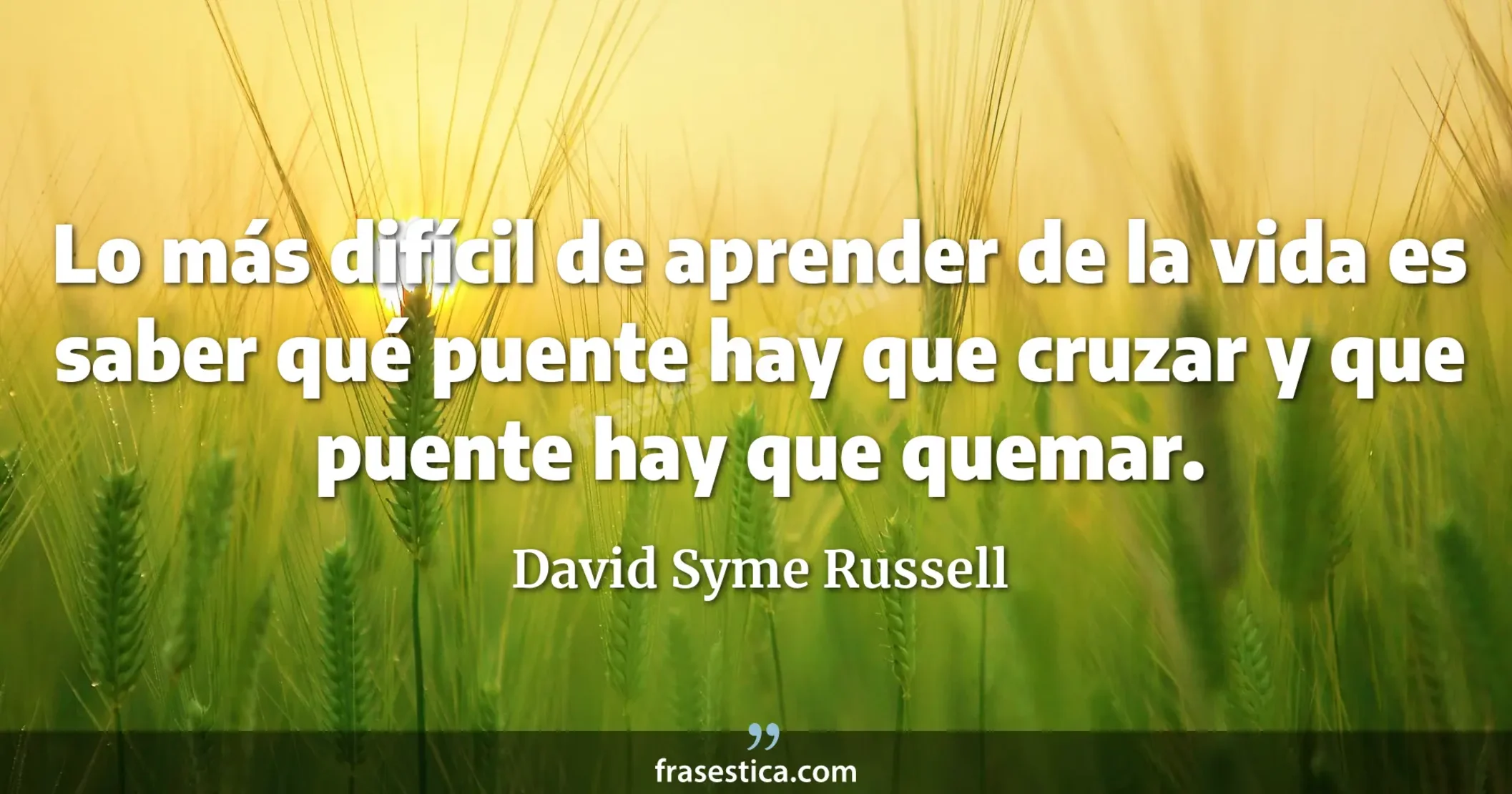 Lo más difícil de aprender de la vida es saber qué puente hay que cruzar y que puente hay que quemar. - David Syme Russell