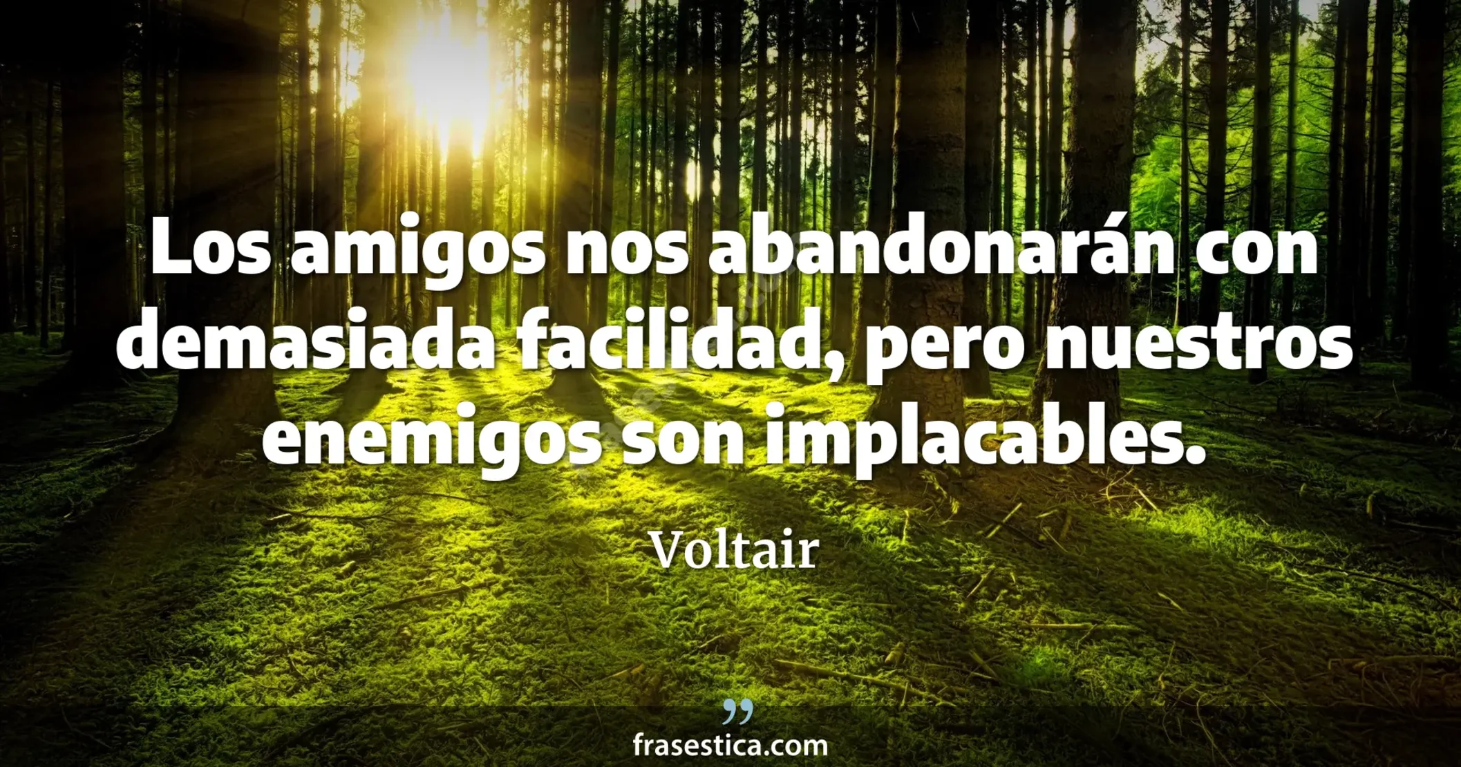 Los amigos nos abandonarán con demasiada facilidad, pero nuestros enemigos son implacables. - Voltair