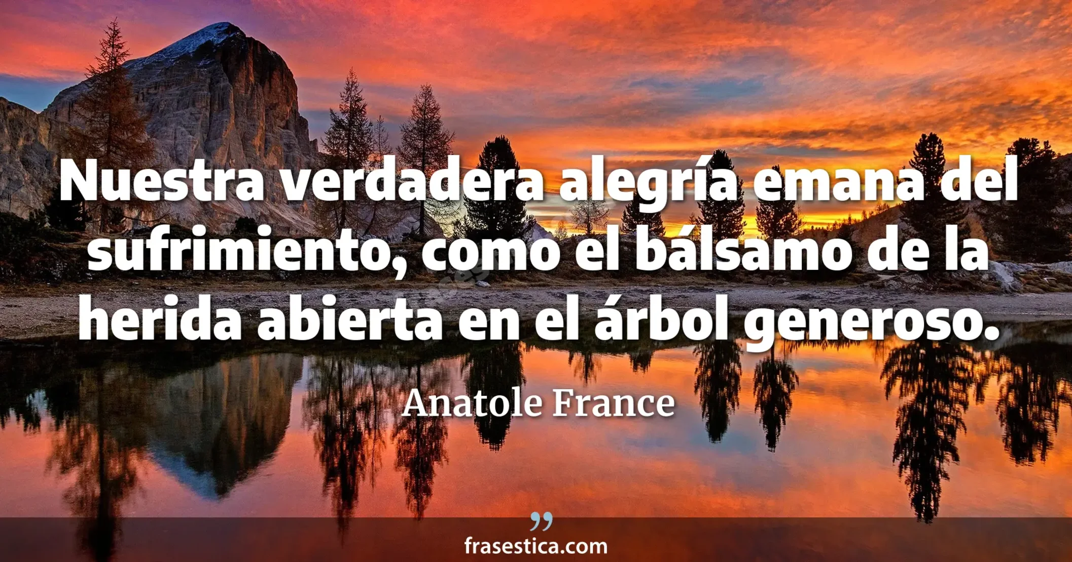Nuestra verdadera alegría emana del sufrimiento, como el bálsamo de la herida abierta en el árbol generoso.  - Anatole France
