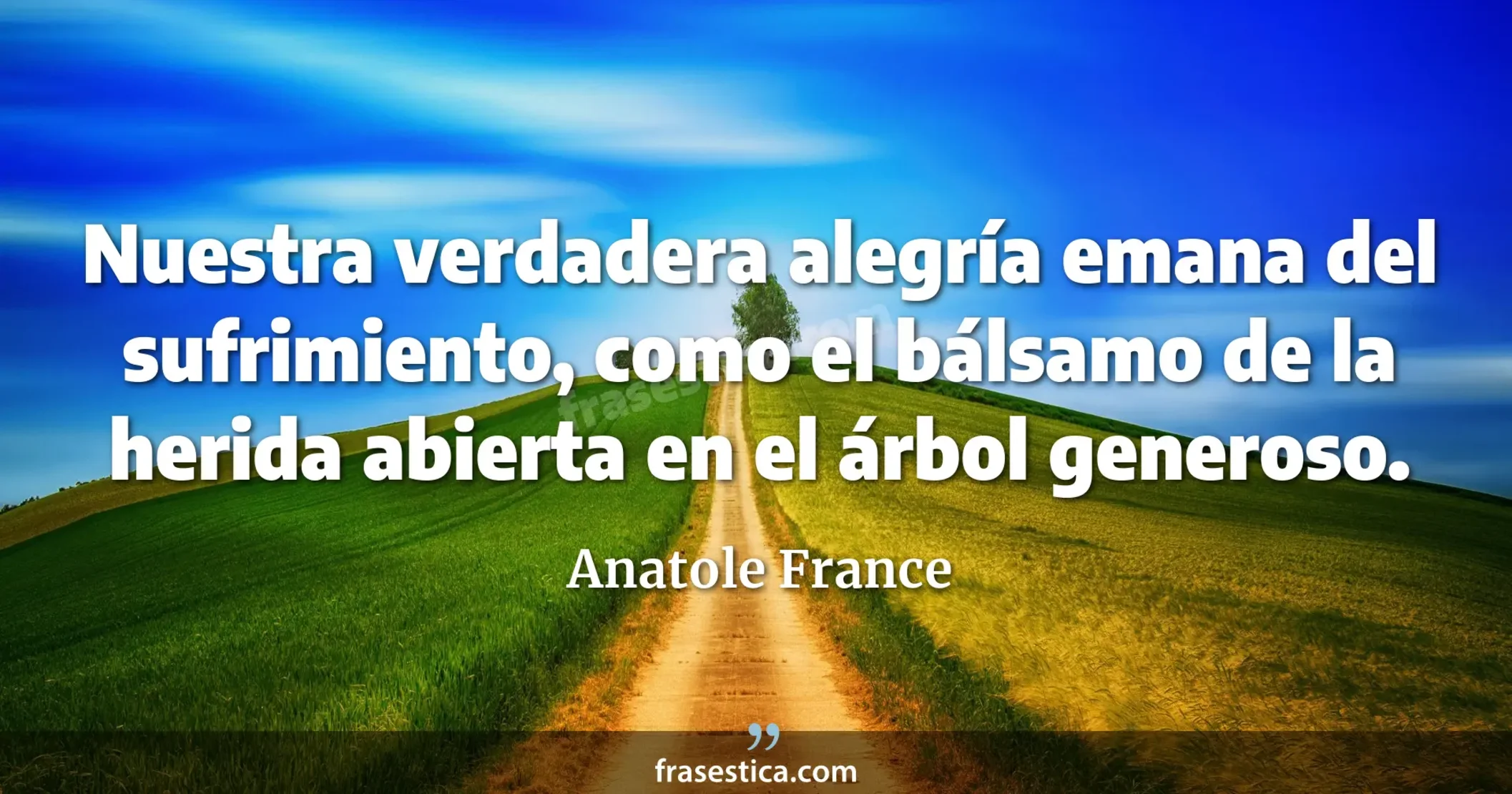 Nuestra verdadera alegría emana del sufrimiento, como el bálsamo de la herida abierta en el árbol generoso.  - Anatole France