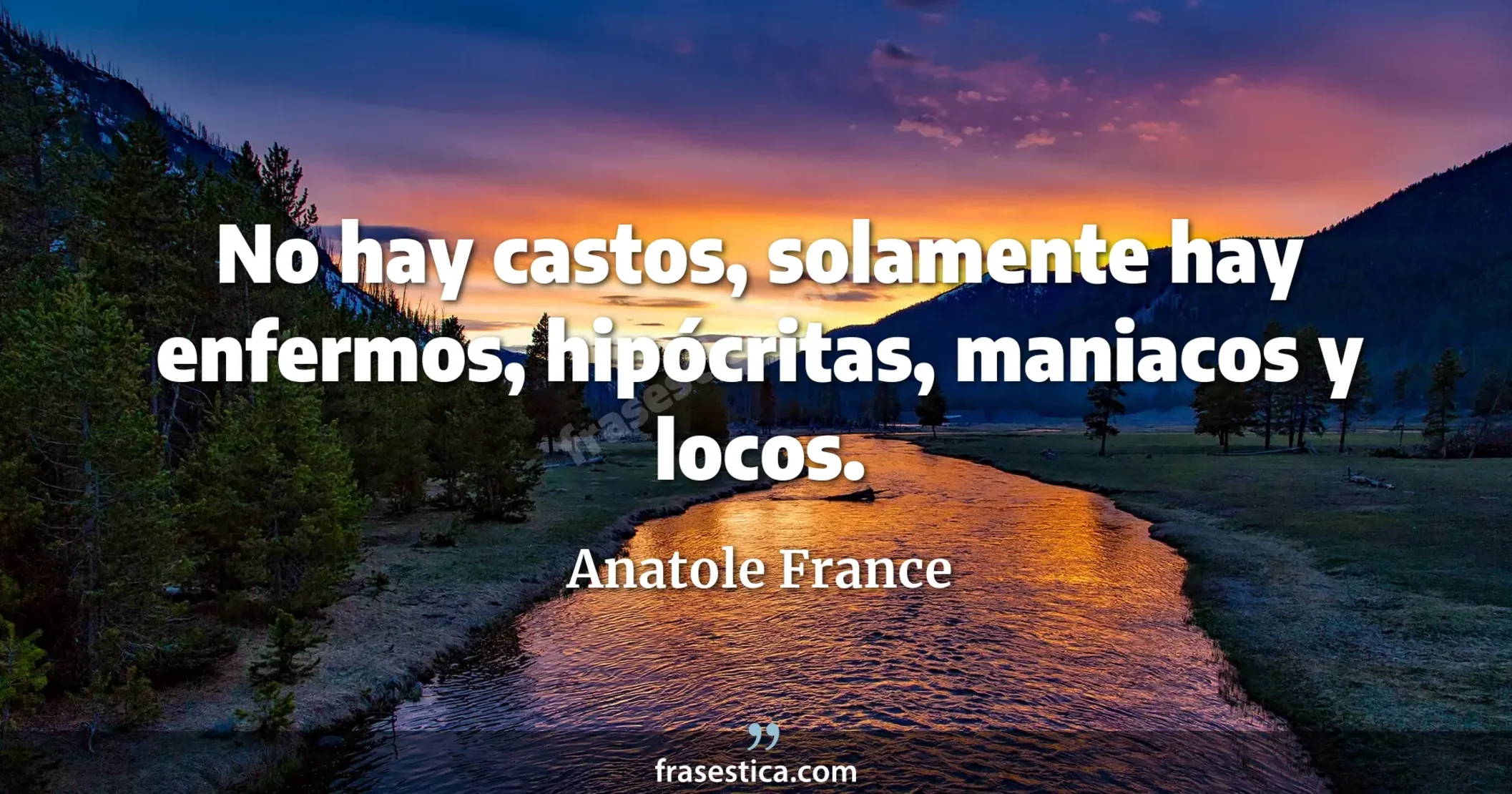 No hay castos, solamente hay enfermos, hipócritas, maniacos y locos. - Anatole France