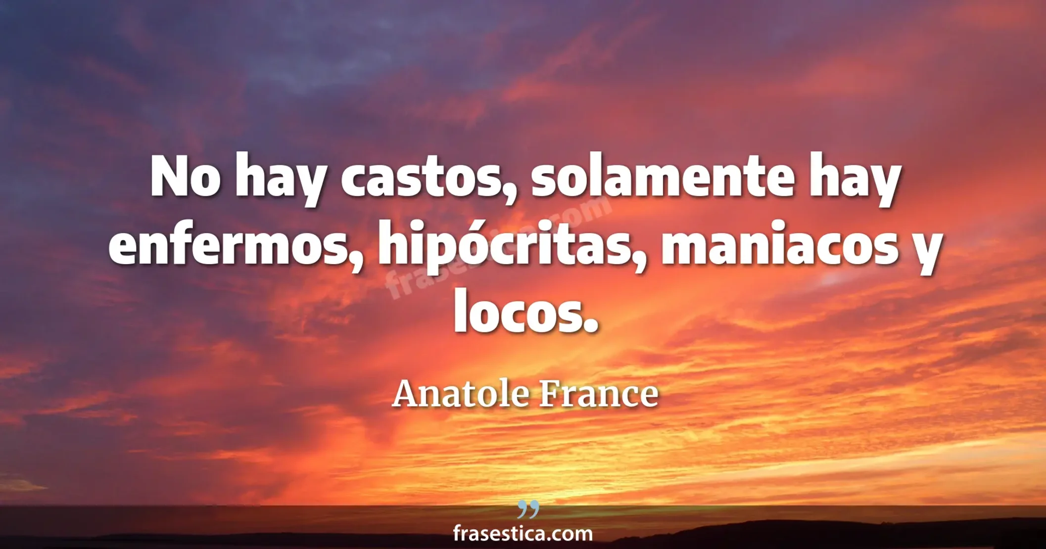 No hay castos, solamente hay enfermos, hipócritas, maniacos y locos. - Anatole France