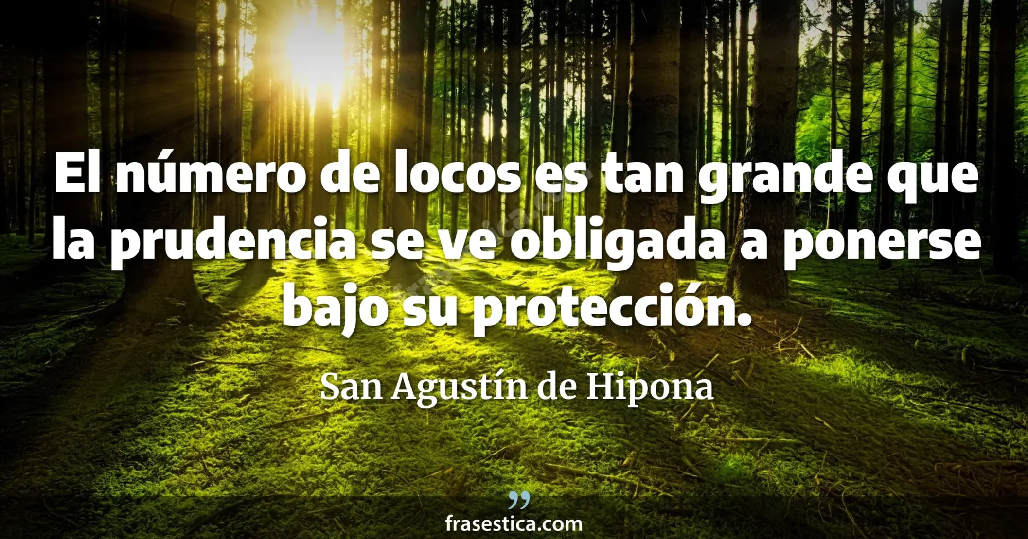 El número de locos es tan grande que la prudencia se ve obligada a ponerse bajo su protección. - San Agustín de Hipona