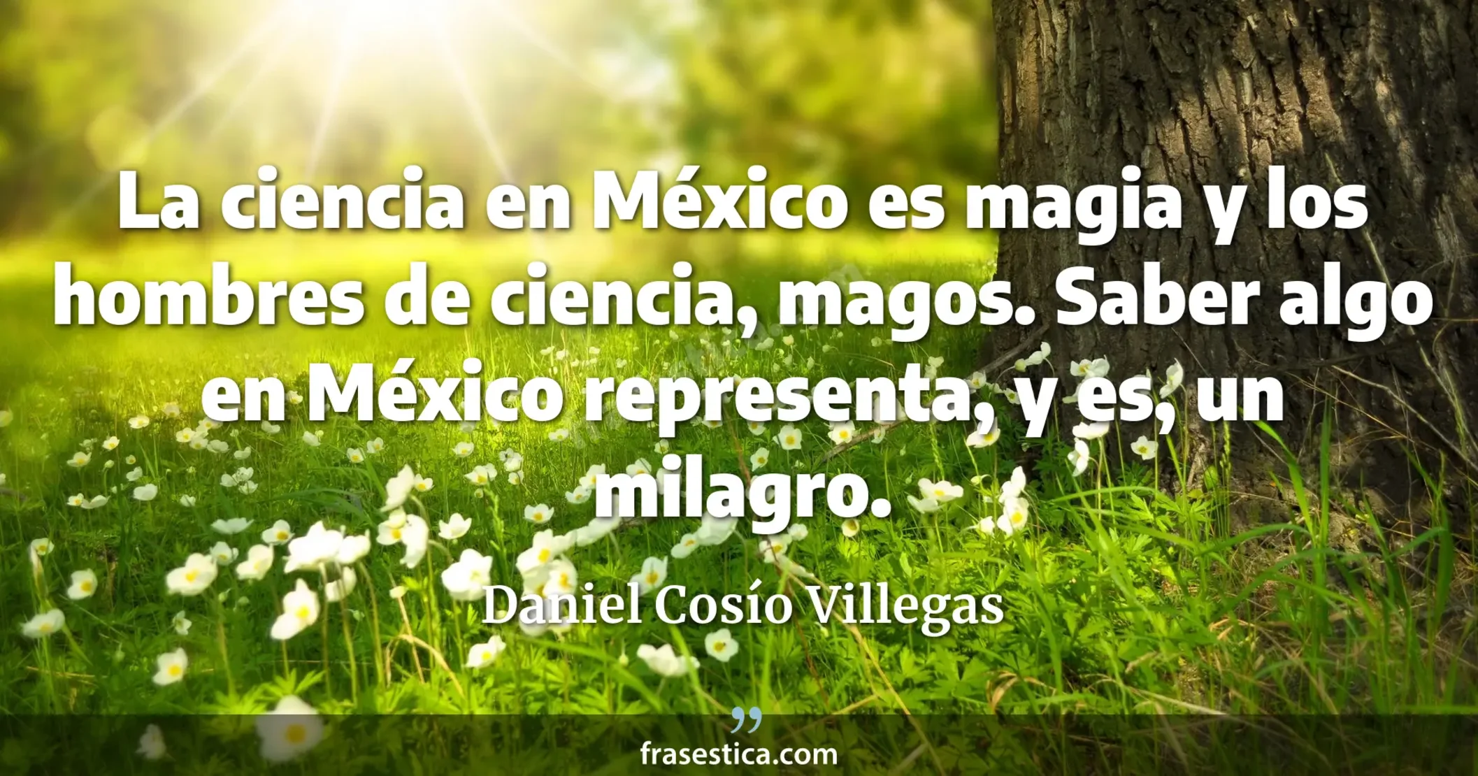 La ciencia en México es magia y los hombres de ciencia, magos. Saber algo en México representa, y es, un milagro. - Daniel Cosío Villegas