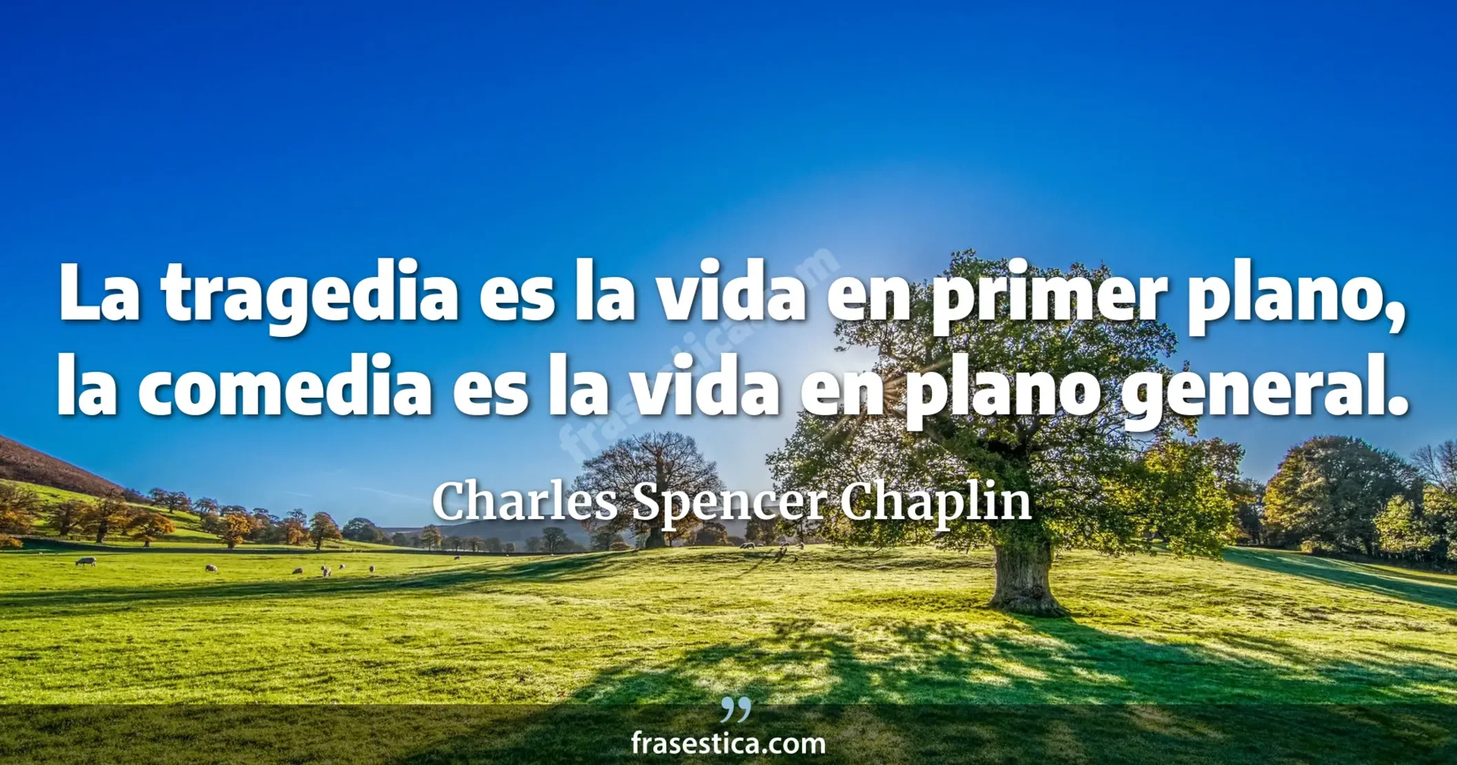 La tragedia es la vida en primer plano, la comedia es la vida en plano general. - Charles Spencer Chaplin