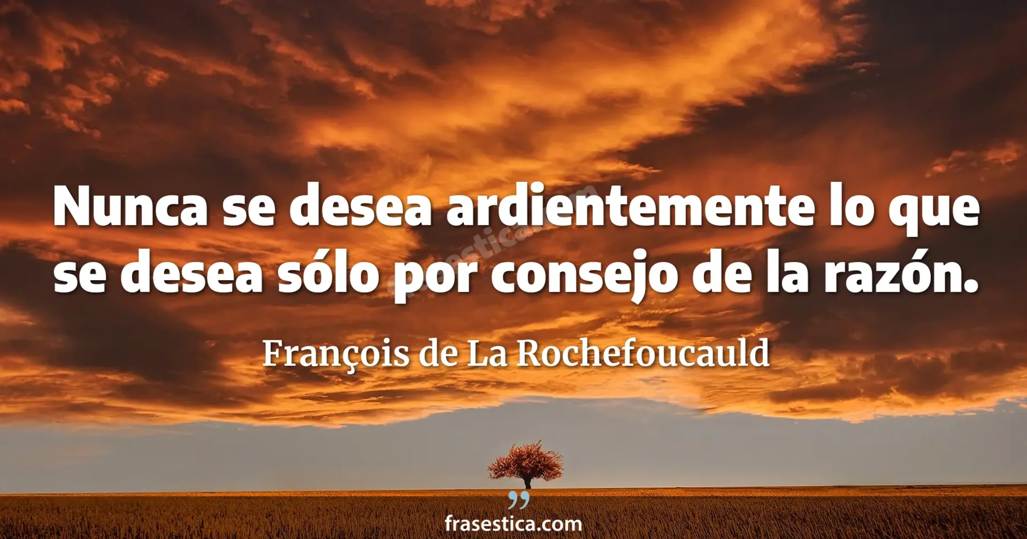 Nunca se desea ardientemente lo que se desea sólo por consejo de la razón. - François de La Rochefoucauld