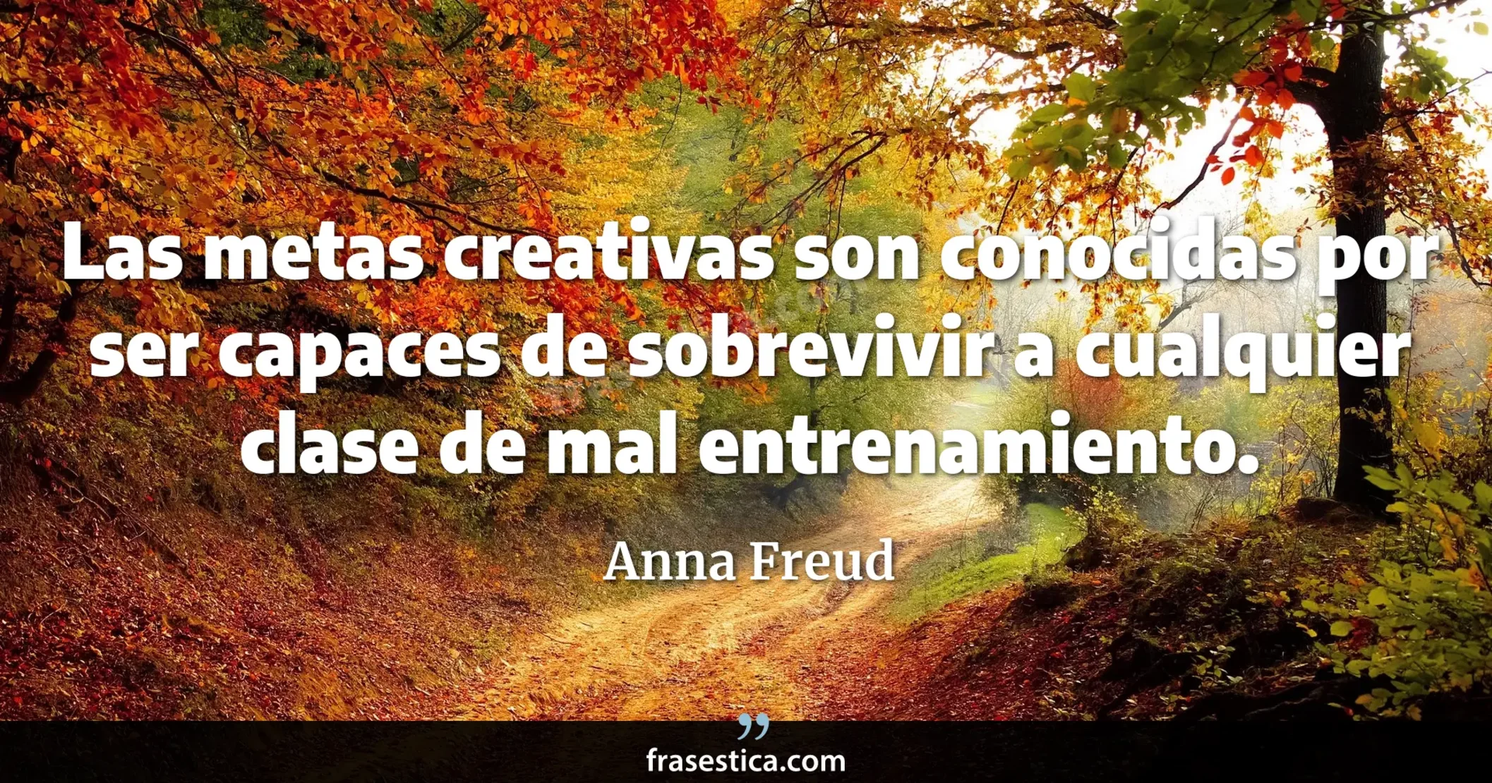 Las metas creativas son conocidas por ser capaces de sobrevivir a cualquier clase de mal entrenamiento. - Anna Freud