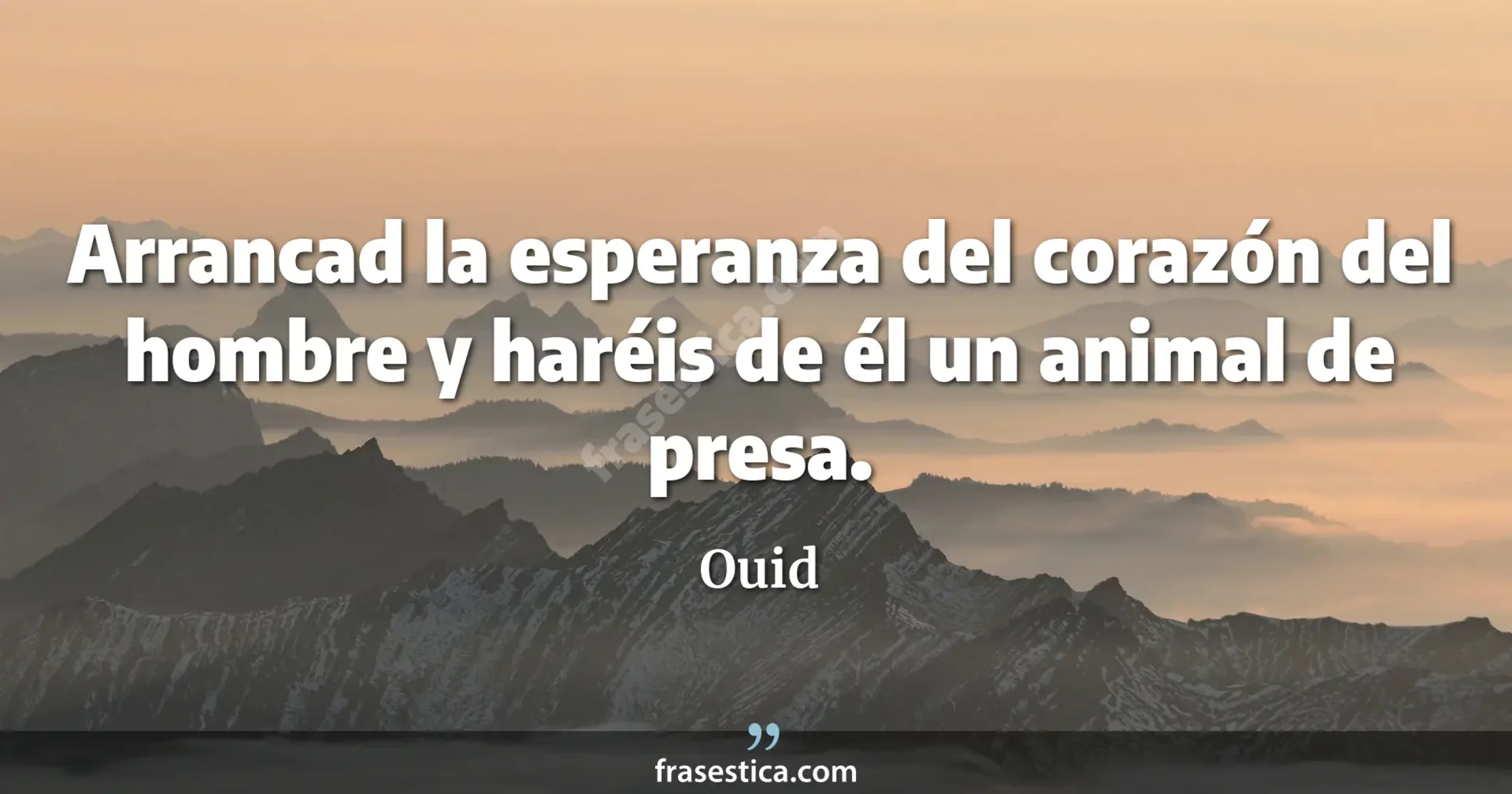 Arrancad la esperanza del corazón del hombre y haréis de él un animal de presa. - Ouid