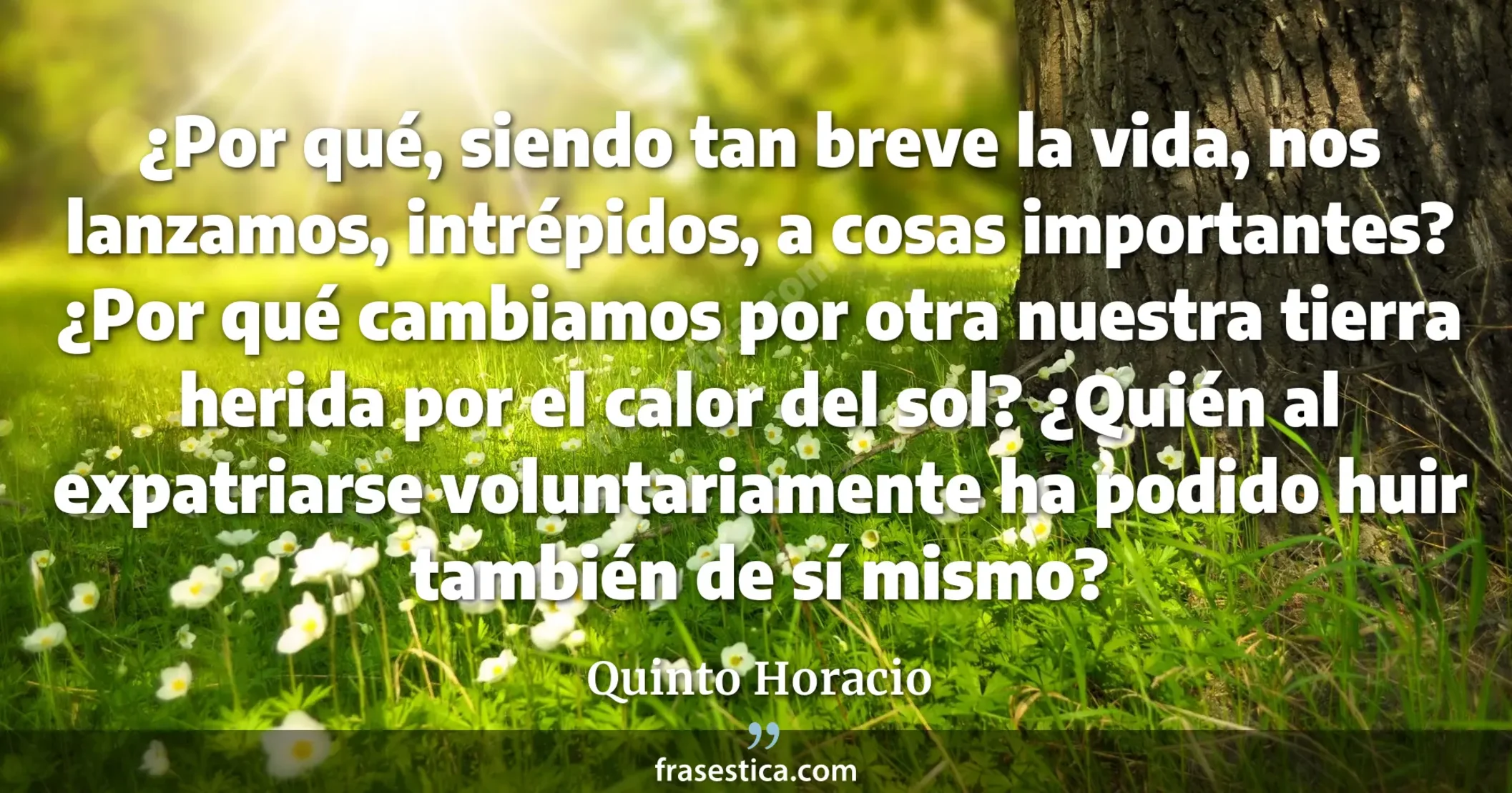 ¿Por qué, siendo tan breve la vida, nos lanzamos, intrépidos, a cosas importantes? ¿Por qué cambiamos por otra nuestra tierra herida por el calor del sol? ¿Quién al expatriarse voluntariamente ha podido huir también de sí mismo? - Quinto Horacio