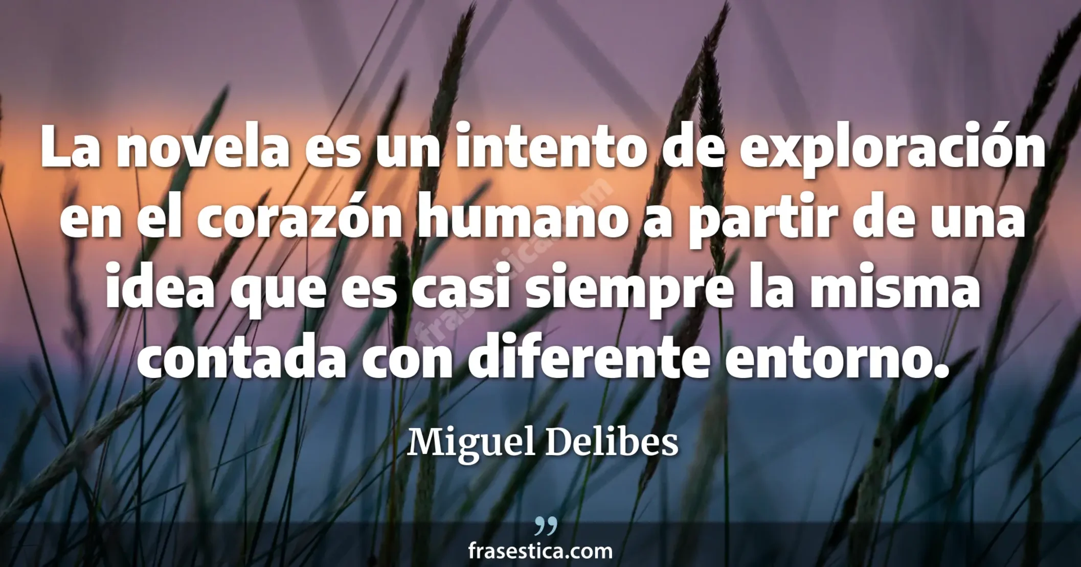 La novela es un intento de exploración en el corazón humano a partir de una idea que es casi siempre la misma contada con diferente entorno. - Miguel Delibes