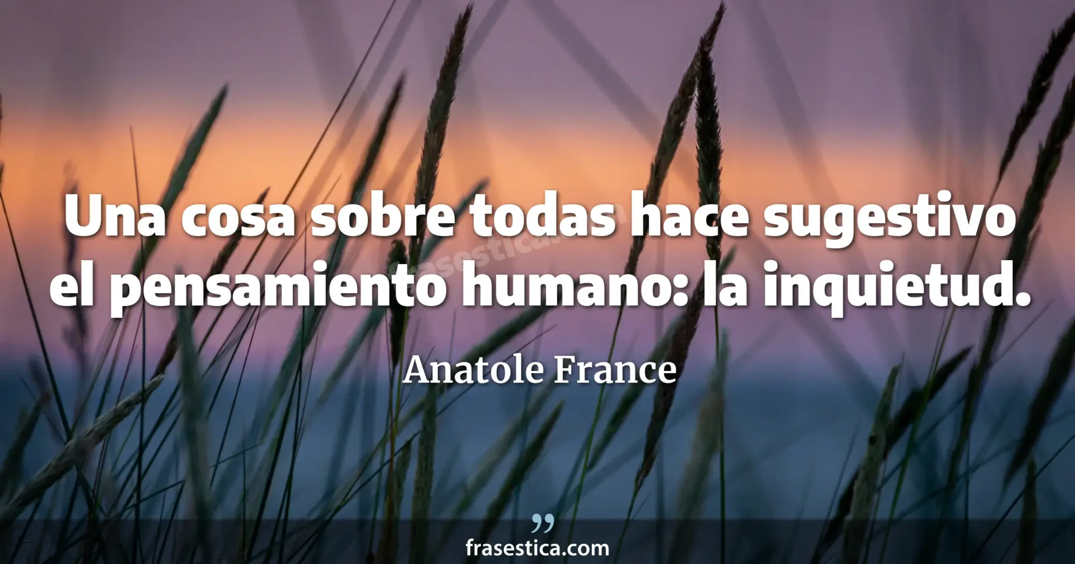 Una cosa sobre todas hace sugestivo el pensamiento humano: la inquietud. - Anatole France