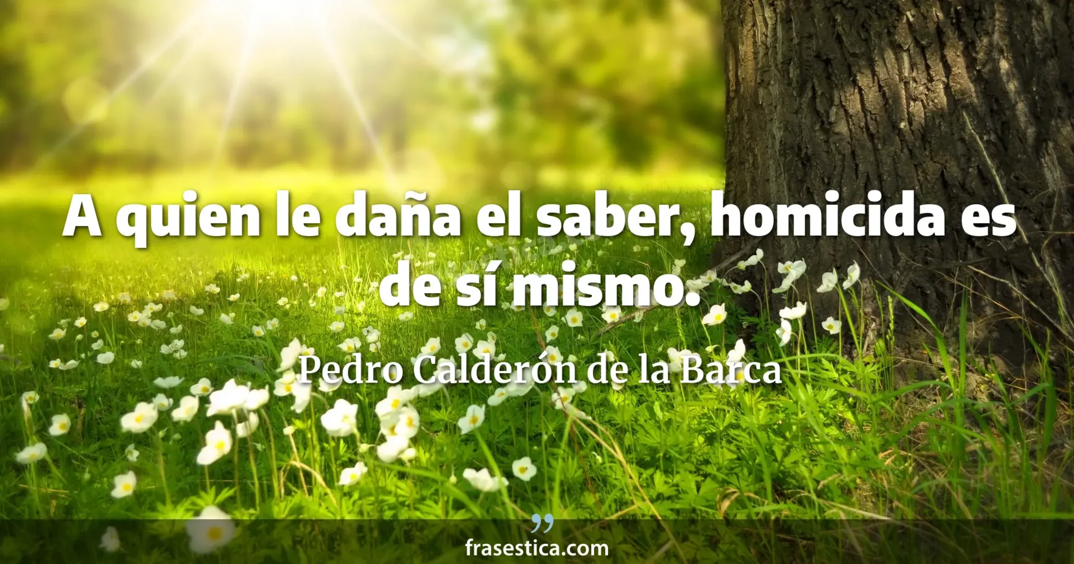 A quien le daña el saber, homicida es de sí mismo. - Pedro Calderón de la Barca